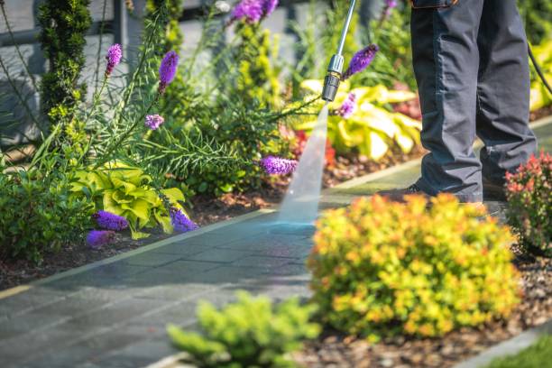 Best Winterizing Services  in Apple Valley, UT